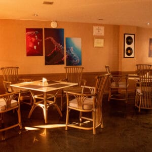 rainforest bar hotel_5